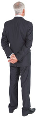 Rear view of mature businessman posing