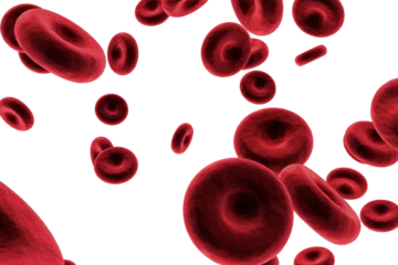 Foto op Aluminium Graphic image of red blood cells © vectorfusionart