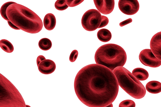 Graphic image of red blood cells
