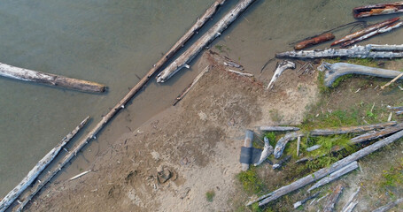 High angle view of logs and driftwood