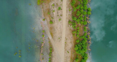Aerial view of trees growing amidst lake
