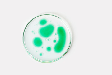 Petri dish on a light background. Green drops, bacteria. or viruses. Mold. Laboratory, biochemistry, chemistry, science. Study.