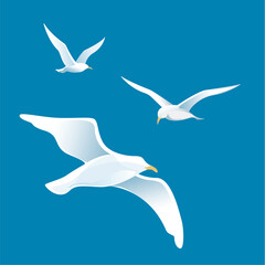 Seagulls in flight against a blue sky backdrop
