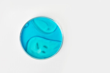 Petri dish on a light background. With blue or blue liquid. Water stains, oil drops. Laboratory glassware. study. Chemical elements.