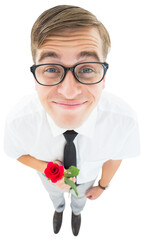 Fototapeta premium Geeky hipster holding a red rose