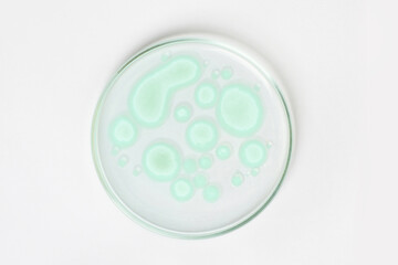 Petri dish on a light background. With light green rocks grown in the laboratory. Sensitivity of...