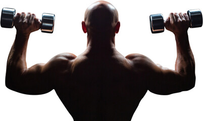 Naklejka na ściany i meble Rear view of muscular man lifting dumbbells