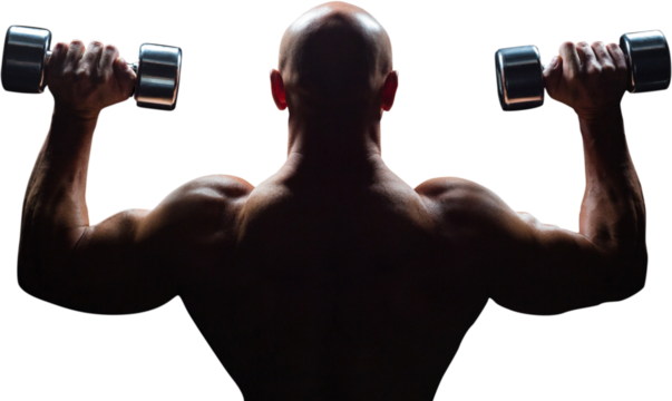 Rear view of muscular man lifting dumbbells - Powered by Adobe