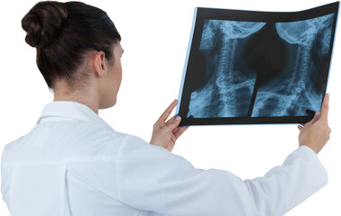 Female doctor checking x-ray report