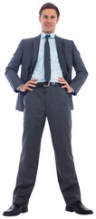 Happy businessman with hands on hips