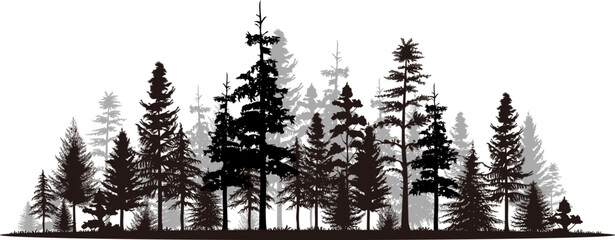 Pine tree panorama vector illustration set. Black silhouette landscape. - obrazy, fototapety, plakaty
