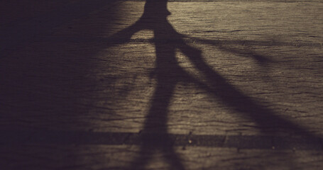 Shadow of tree on street