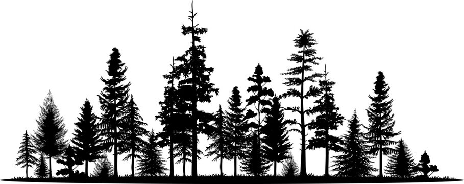 Pine tree panorama vector illustration set. Black silhouette.