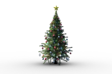 Christmas tree on white background