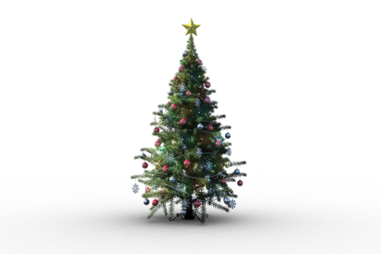 Christmas tree on white background