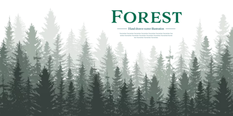 Fototapeten Forest panorama view. Pine tree landscape vector illustration.  Spruce silhouette. Banner background. © Mimi Art Smile