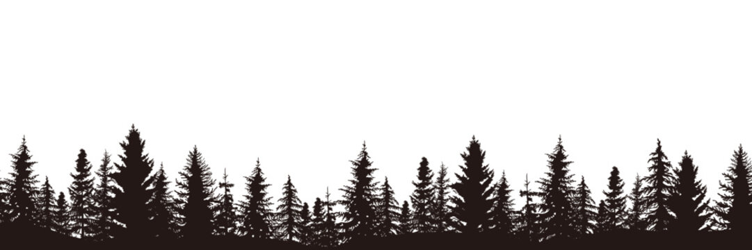 Pine tree vector illustration set. Black silhouette panorama landscape.
