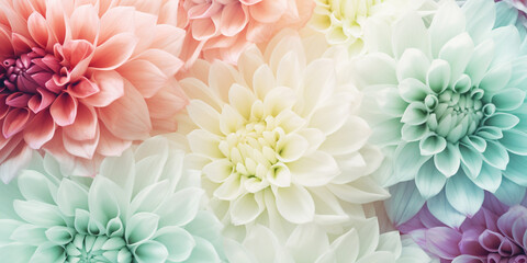 Obraz premium flower background 