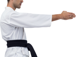 Mid section of fighter performing karate stance