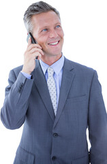 Smiling businessman talking on mobile phone