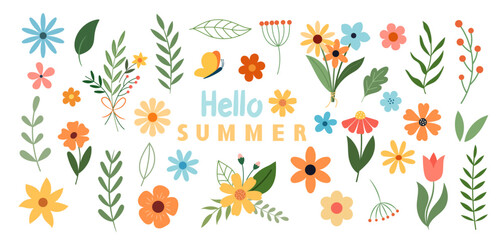 Colorful vector summer set of flowers and plants. Botanical illustration. 