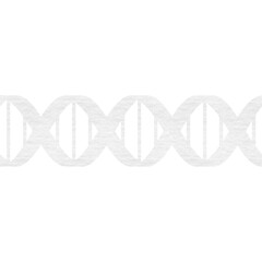 Computer graphic image of DNA