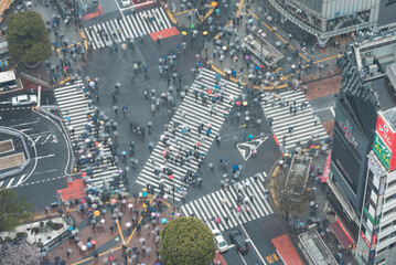 雨の渋谷スクランブル交差点を歩く人々