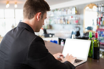 Rear view of businessman typing on laptop