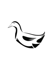 symbol of a black duck swimming on a white background