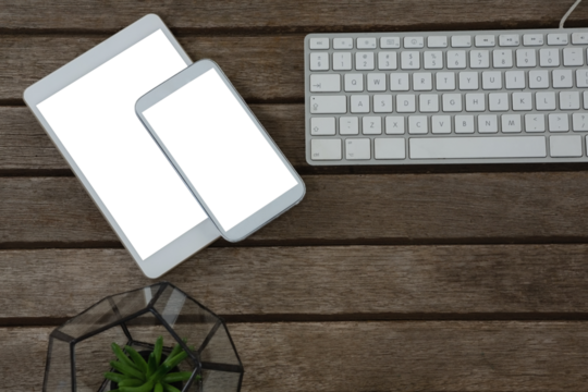 Digital tablet, mobile phone, pot plant and keyboard on wooden plank - Powered by Adobe