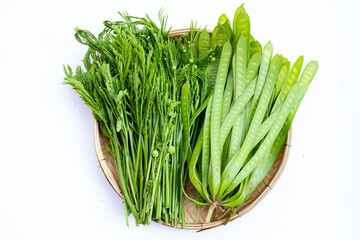 Leucaena leucocephala isolated on white background