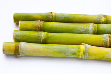 Sugar cane on white background.