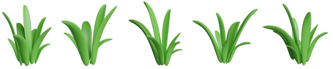 Set of 5 cartoon grasses isolated. 3D image