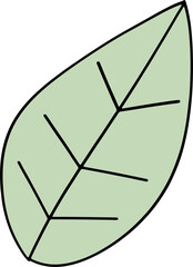 The green leaf drawing image