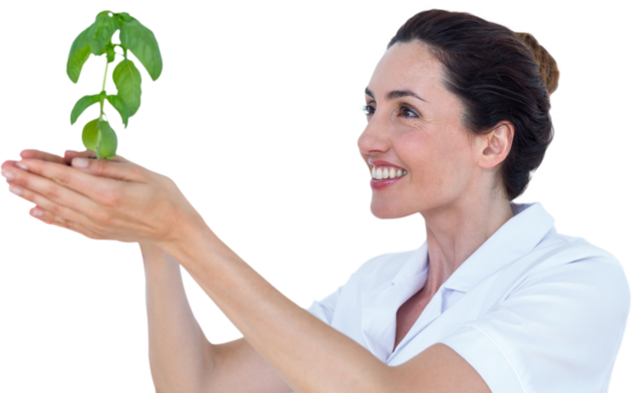 Scientist holding basil plant - Powered by Adobe