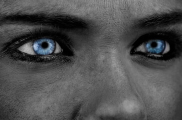 Obraz premium Blue eyes on grey face