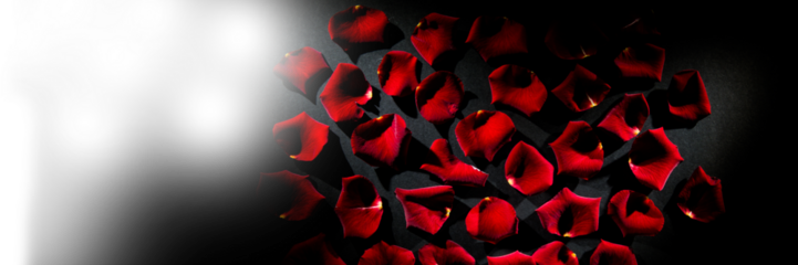 Digital generated image of rose petals 