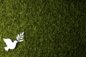 Close up of white dove with leaf and copy space on grass background