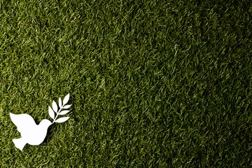 Gordijnen Close up of white dove with leaf and copy space on grass background © vectorfusionart