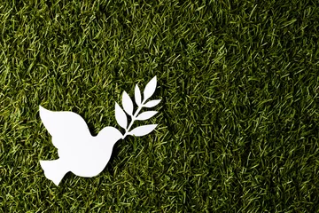 Rolgordijnen Close up of white dove with leaf and copy space on grass background © vectorfusionart