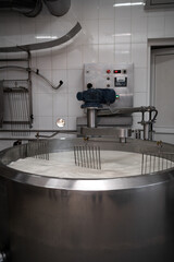 Equipment dairy plant, cheese factory. Milk heating process. Cheese production