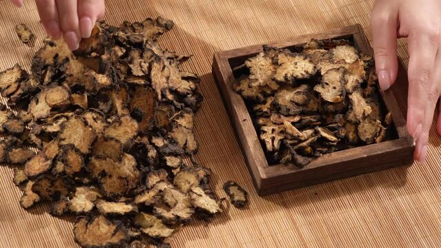 Scene with female hand picking up medicine ligusticum striatum placed on wooden tray on brown mosaic background. The drug grows in tropical climates, mainly in China, India, and Nepal