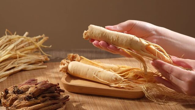 The moment female hands lifts a ginseng root and shakes it lightly on a brown background with other herbs. Chinese herbal medicine, good for health