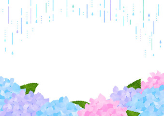 紫陽花と雨 横長