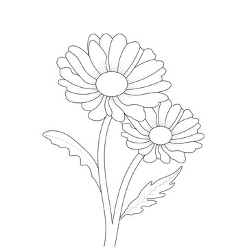Hand Drown Daisy Flower Coloring page Line art
