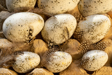 Decorative Easter eggs decorated with quail feathers in egg packaging