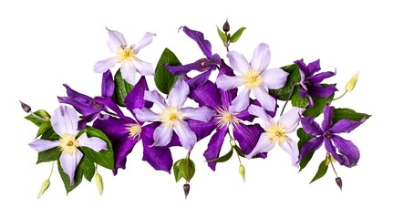 Summer floral composition. Creative layout made with beautiful purple flowers cut out - Powered by Adobe