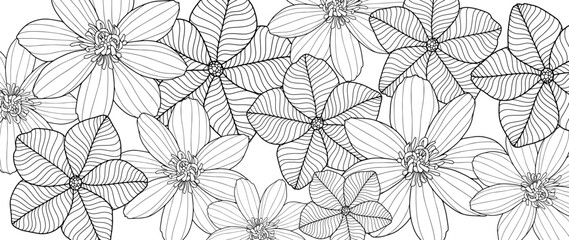 Black and white vector floral illustration with flowers for decor, coloring books, covers, postcards and illustrations