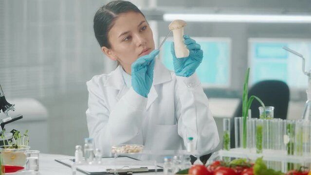 Asian female researcher examines the royal oyster mushroom eringi and takes notes. Microbiologist analyzes the quality of products. Breeding new varieties of mushrooms grown in the lab.