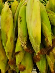 tomatoes fruits and vegetables on the market